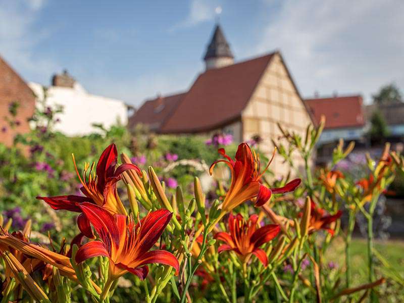 Verträumte Landschaft in Burg