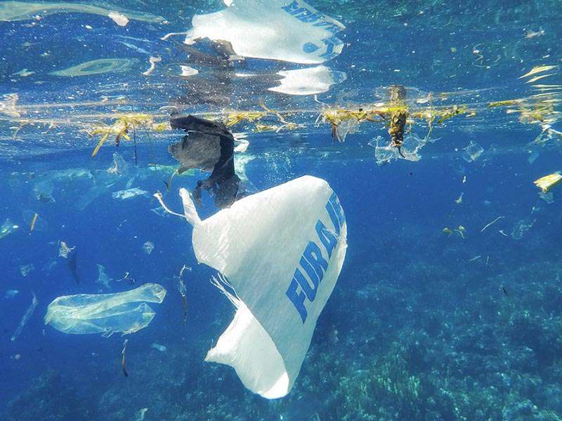 Plastikverschmutzung A Plastic Ocean Zeigt Folgen Für Weltmeere Stadtmagazin Dates 0431