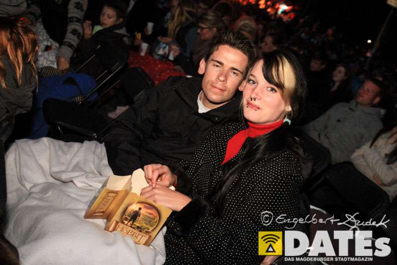 Sommerkino_2014_Dudek-0311.jpg