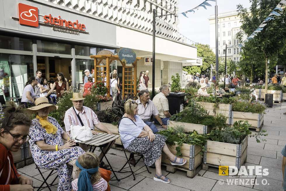 swing festival magdeburg - 2024